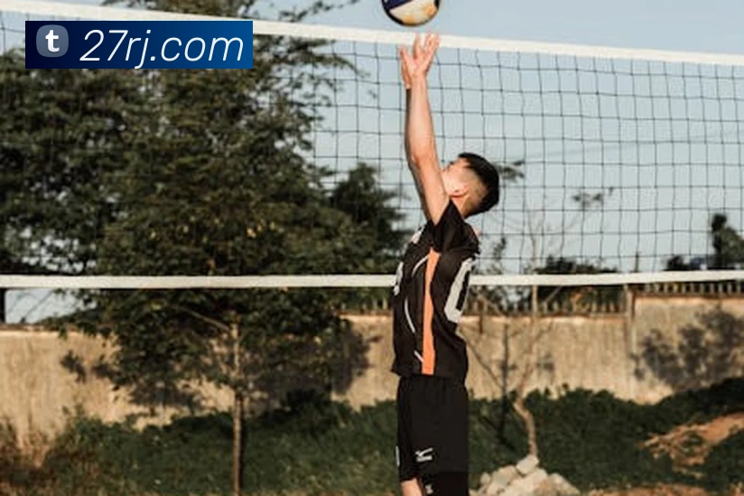 世界杯app官网服务体系